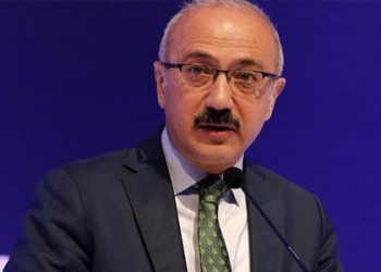 Dolar üzerinden garanti verilen projeler incelenecek