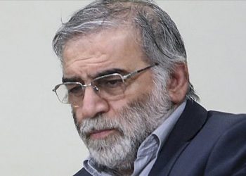 Türkiye, Fahrizade’nin öldürülmesini kınadı