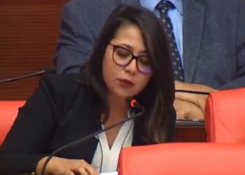 Uzel direnişi Meclis gündeminde…