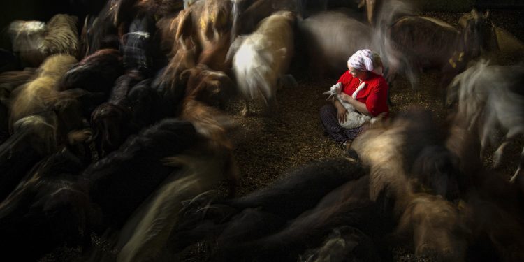 ‘Kadın Gözüyle Hayattan Kareler’ fotoğraf sergisi dijitale taşındı
