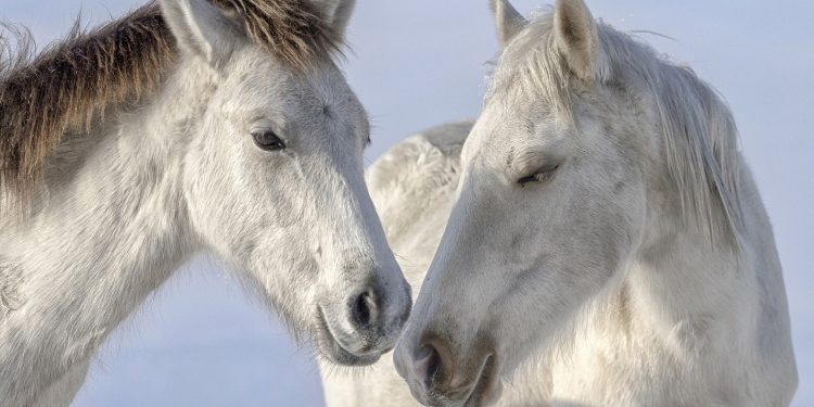 ‘Kadın Gözüyle Hayattan Kareler’ fotoğraf sergisi dijitale taşındı