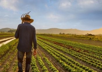 Çiftçinin “borç yapılandırma” krizi büyüyor