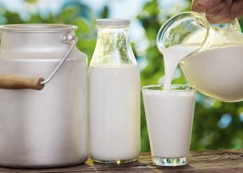 Çiğ süte zam geldi; üreticinin talebi karşılanmadı