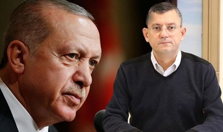 Cumhurbaşkanı Erdoğan, CHP’li Özgür Özele tazminat davası açtı