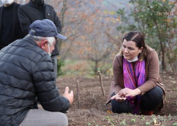 İzmit’in üretimde markalaşma hedefi: Ekinezya ve sahlep
