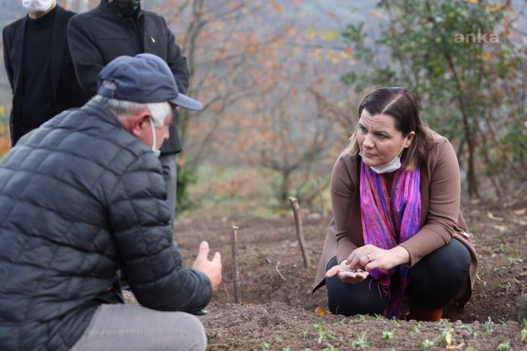 İzmit’in üretimde markalaşma hedefi: Ekinezya ve sahlep