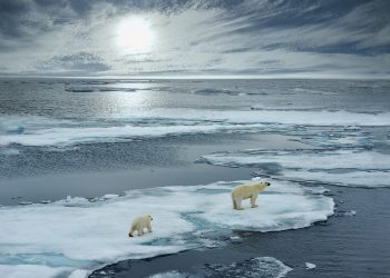 İklim değişikliği pandemiden tehlikeli görünüyor