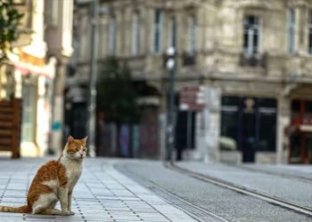 Hangi iller normalleşecek