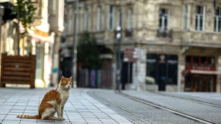 Hangi iller normalleşecek