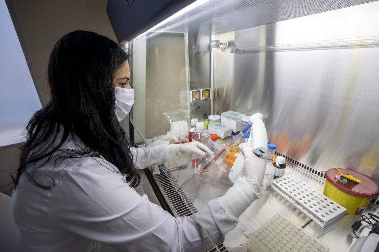 Kovid-19’la mücadele, yerli aşıların üretimini hızlandıracak