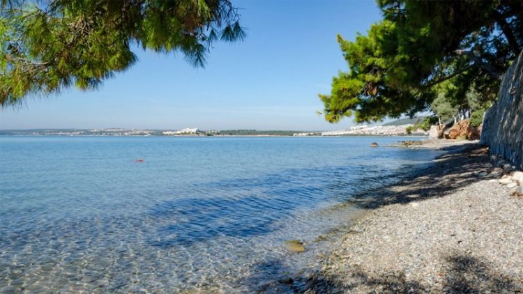Didim’de jeotermal sondajına izin verildi