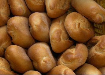 40 adet yeni “Mobil halk Ekmek Büfesi” çalışmaya başladı