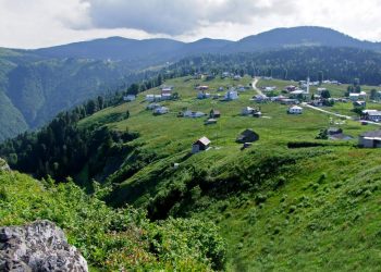 Erdoğan’ın imzasıyla Amasya, Bolu ve Trabzon’da 15 yayla imara açıldı