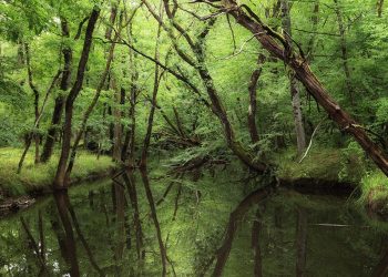 Kırklareli’nde, donarak ölen 2 kişinin cesedi bulundu