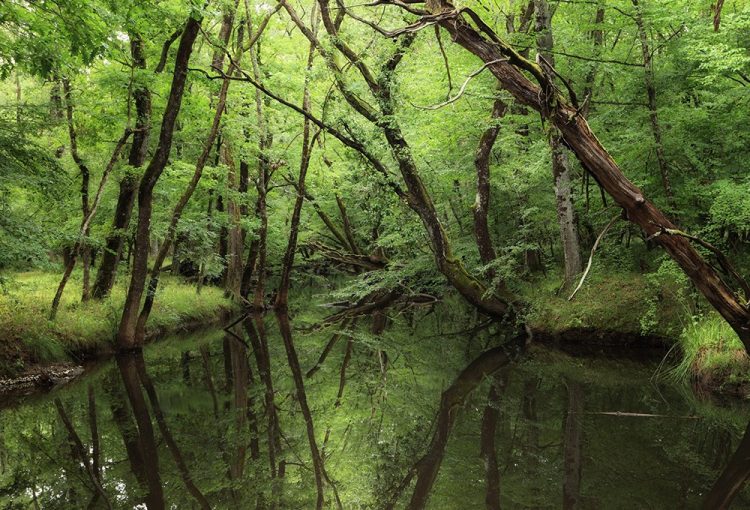 Kırklareli’nde, donarak ölen 2 kişinin cesedi bulundu