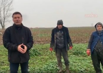 Ispanak üreticisi: “Hakkaniyet yok! Biz bu eziyeti niye çekiyoruz?”