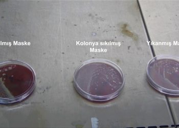 Yıkanan veya kolonya sıkılan maskede, bakteriler üremeye devam ediyor