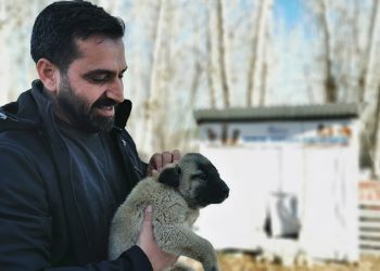 Ovacık Belediye Başkanı, sokak hayvanları için makam aracını sattı