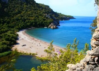 Tarım Orman-İş, ormanlık alan yönetmeliğini mahkemeye taşıyacak