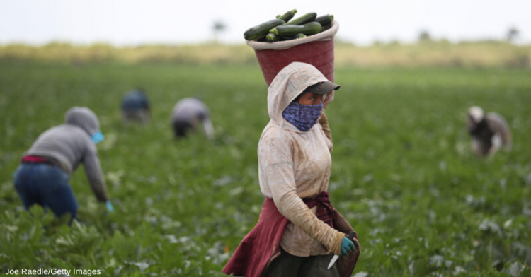 Yüksek kur, çiftçiyi zora soktu