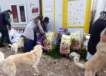 Çav Bella hakaretleri sokak hayvanlarına mama oldu