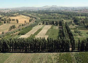 HKP Atatürk Orman Çiftliğindeki ihale talanını yargıya taşıdı