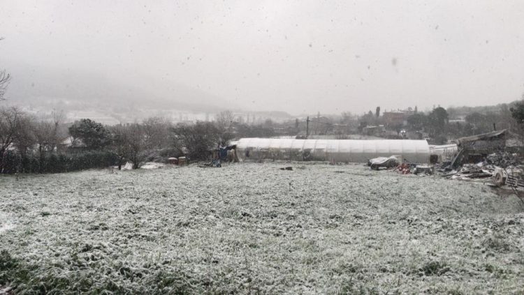İstanbul’da kar yağışı başladı