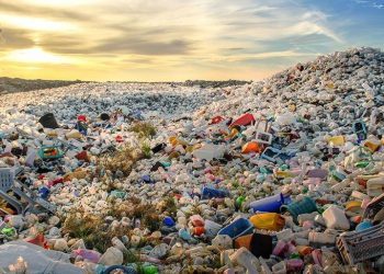 İngiltere’nin çöpünün yarısını Türkiye ithal etti