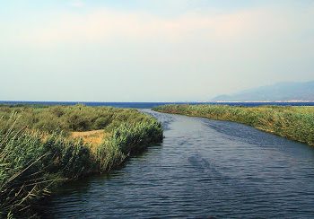 Çevrecilerden Edremit’te sulak alandaki yapılaşmaya karşı uyarı