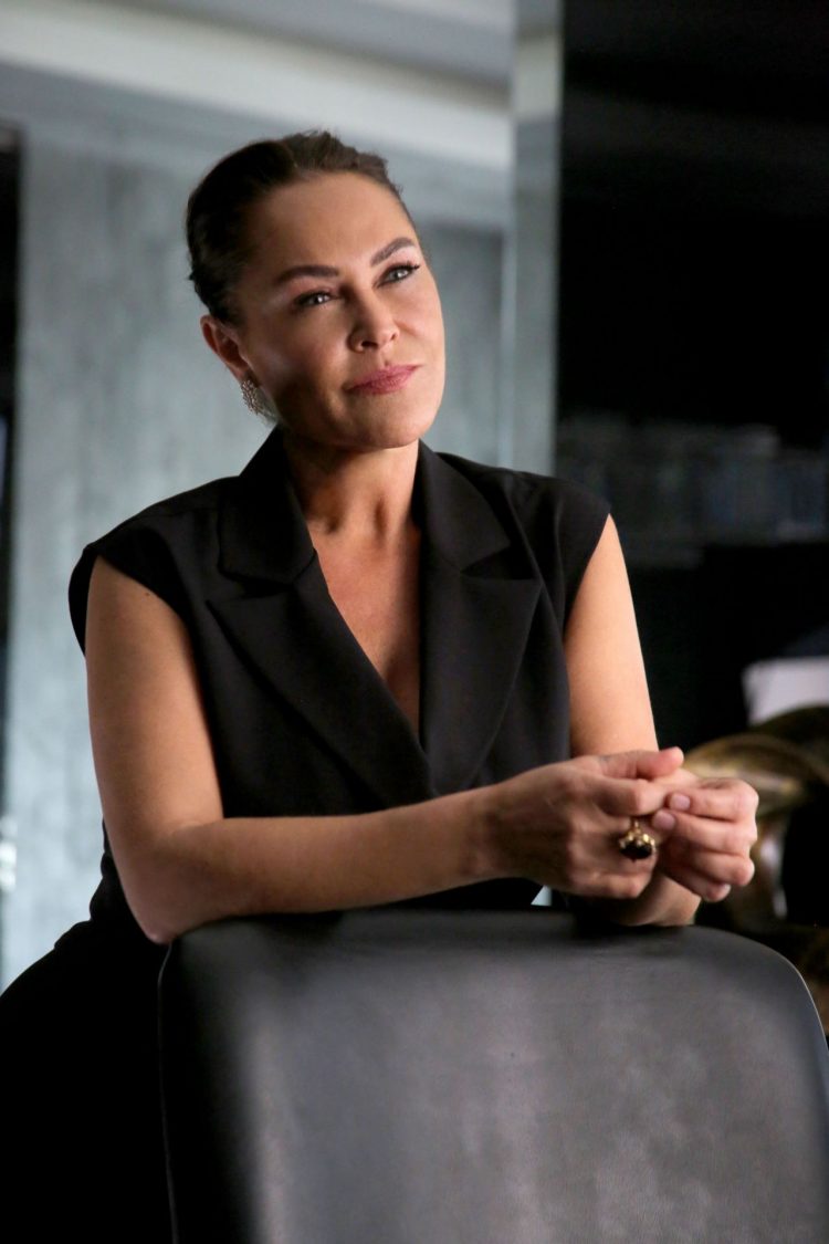 Hülya Avşar, ekrana dönüyor