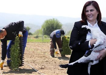 Aydın Büyükşehir, yerel kalkınma projeleriyle sorumluluk aldı