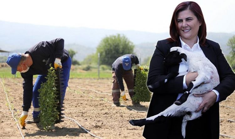 Aydın Büyükşehir, yerel kalkınma projeleriyle sorumluluk aldı