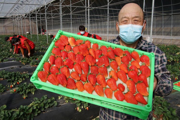 Çin Ulusal Kırsal Kesimleri Kalkındırma İdaresi kuruldu