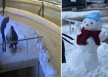 ‘Kardan kadını’ çaldılar