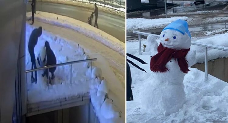 ‘Kardan kadını’ çaldılar