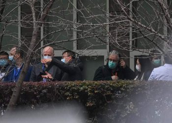 DSÖ uzmanları: Virüsün Wuhan’daki laboratuvarda üretilmiş olduğuna dair hiç bir kanıt yok