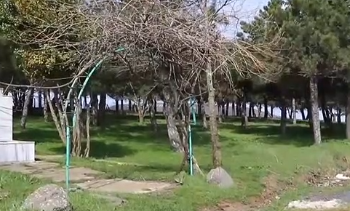 Ormana götürdüğü genç kadını benzin dökerek yaktı