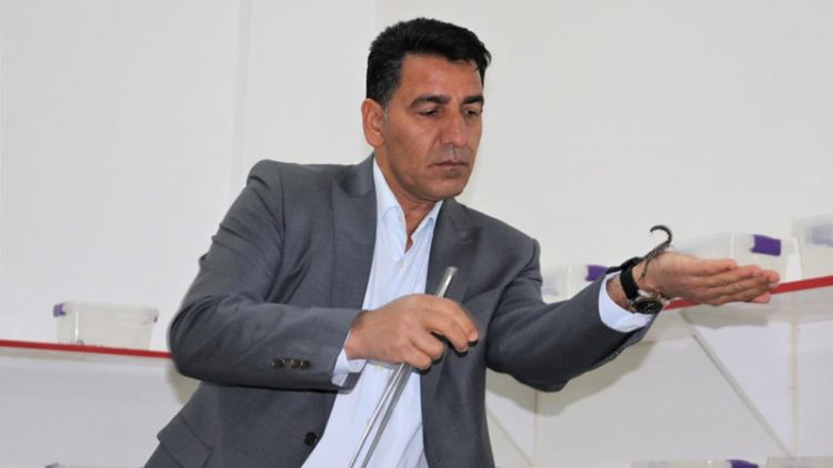 Çocukluk merakını işe çevirdi: Kara akrep tesisi kurdu