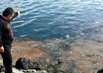 Pendik ve Kartal sahilinde “deniz salyası”