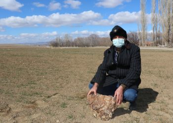 Tarlada bulduğu göktaşı için 180 bin Dolar alacak