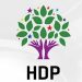 HDP’den ilk açıklama: Mutlaka, ama mutlaka kazanacağız