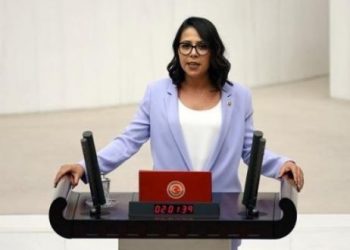 CHP’li Sera Kadıgil’den 8 Mart çağrısı: Muktedir bıyıklılar kulübü, aklımızla alay etmesin