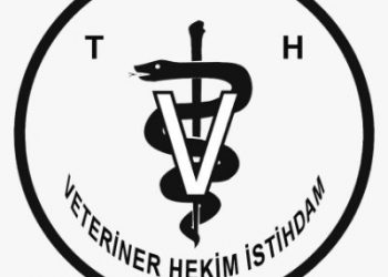 Veteriner hekimler atama istiyor