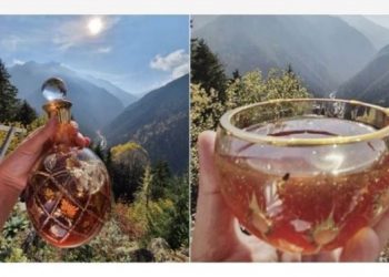 Mağarada toplanan kantaron balı Guinness Rekorlar Kitabı’na girdi