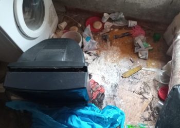 Rize’de aç kalan ayılar yayla evlerini dağıttı