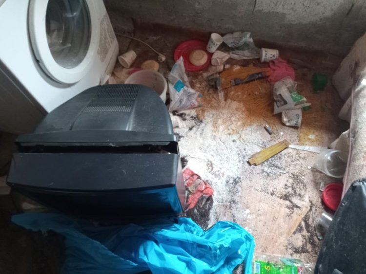 Rize’de aç kalan ayılar yayla evlerini dağıttı