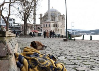 28 günlük tam kapanma olacak mı? Uzmanından açıklama
