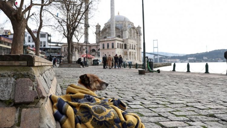 28 günlük tam kapanma olacak mı? Uzmanından açıklama