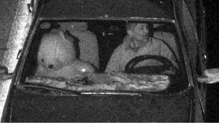 Böyle hırsızlık görülmedi: Ünlü oyuncunun cevizlerini bile çalmış!