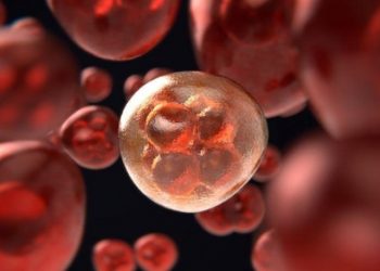 Koronavirüs kanser hücrelerini öldürüyor mu?